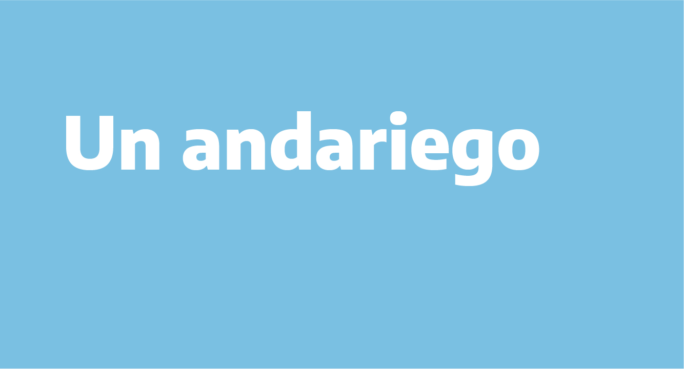 widget image
